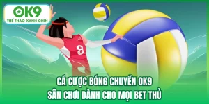 cá cược bóng chuyền ok9